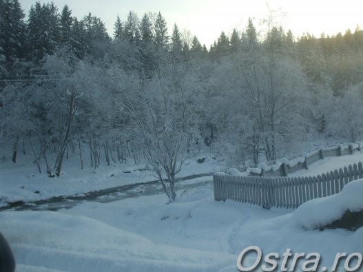 Iarna