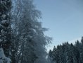 Imagini de iarna