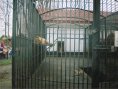 La gradina zoologica